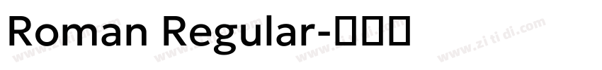 Roman Regular字体转换